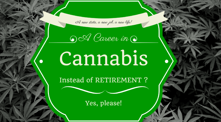 cannabiscareer-2