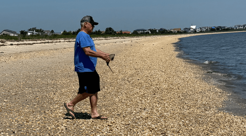 Eric rescuing a horseshoe crab
